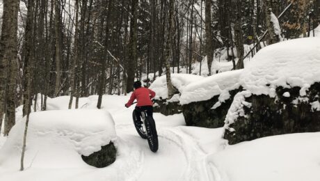 Fatbike